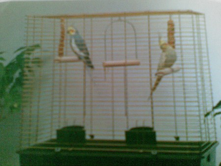 Vhodné zariadenie do klietky